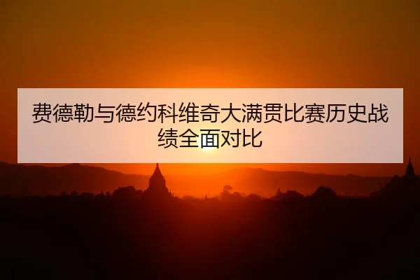 fei-de-lei-yu-de-yue-ke-wei-qi-da-man-guan-bi-sai-li-shi-zhan-ji-quan-mian-dui-bi-2-611.jpg